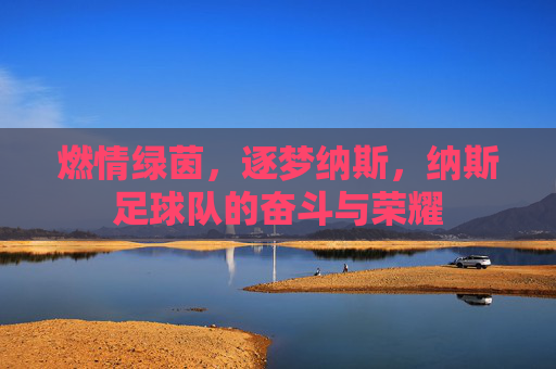 燃情绿茵,逐梦纳斯,纳斯足球队的奋斗与荣耀