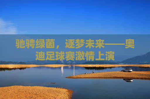 驰骋绿茵,逐梦未来——奥迪足球赛激情上演