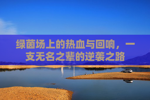 绿茵场上的热血与回响,一支无名之辈的逆袭之路