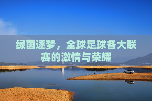 绿茵逐梦,全球足球各大联赛的激情与荣耀