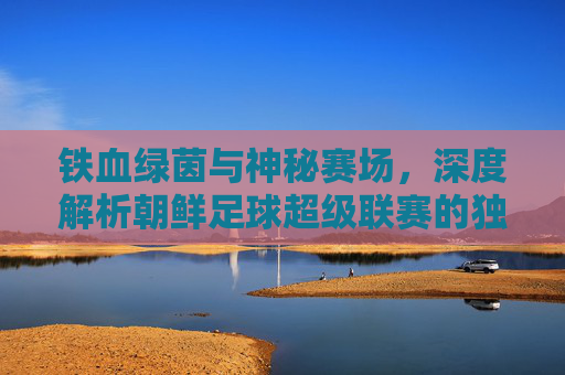 铁血绿茵与神秘赛场，深度解析朝鲜足球超级联赛的独特魅力