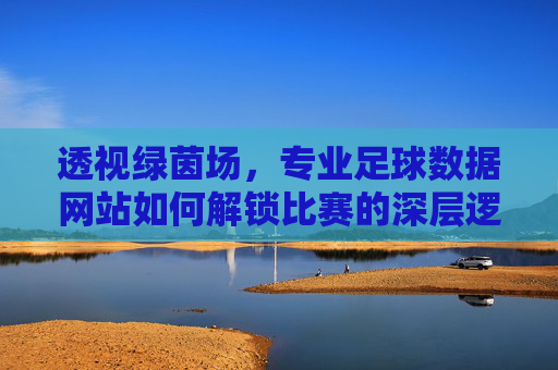 透视绿茵场,专业足球数据网站如何解锁比赛的深层逻辑