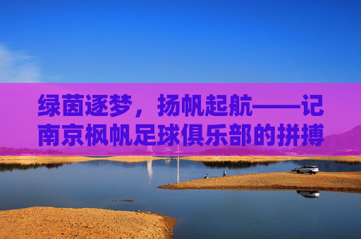 绿茵逐梦，扬帆起航——记南京枫帆足球俱乐部的拼搏之路