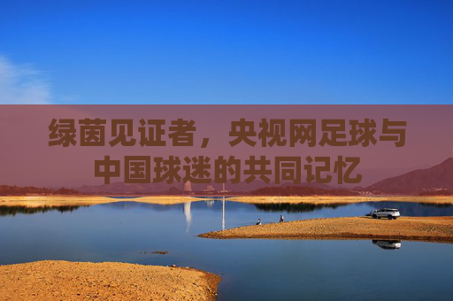 绿茵见证者,央视网足球与中国球迷的共同记忆