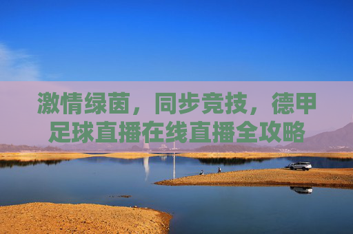 激情绿茵,同步竞技,德甲足球直播在线直播全攻略