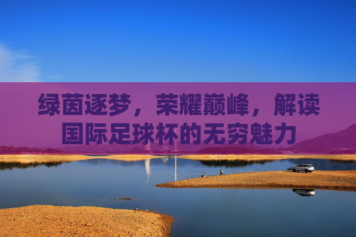 绿茵逐梦,荣耀巅峰,解读国际足球杯的无穷魅力