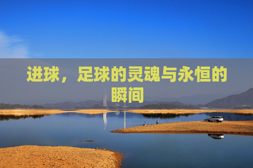 进球,足球的灵魂与永恒的瞬间