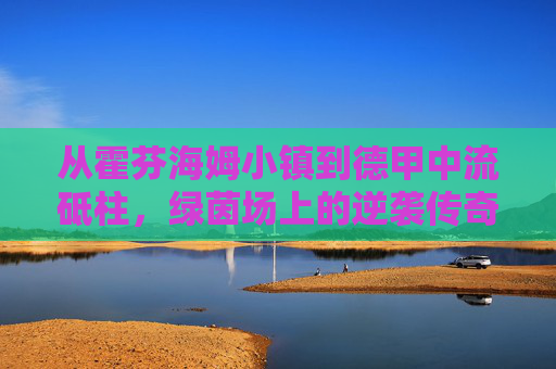 从霍芬海姆小镇到德甲中流砥柱，绿茵场上的逆袭传奇与复兴之路