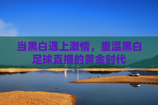 当黑白遇上激情,重温黑白足球直播的黄金时代