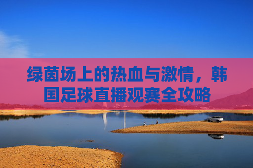 绿茵场上的热血与激情,韩国足球直播观赛全攻略