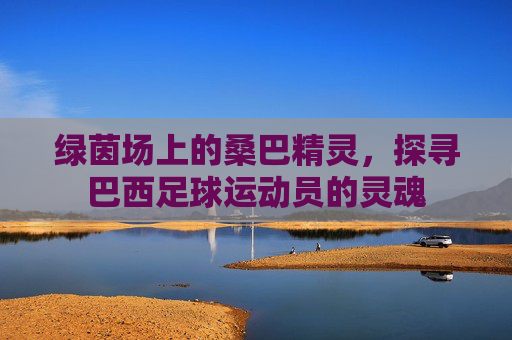 绿茵场上的桑巴精灵，探寻巴西足球运动员的灵魂