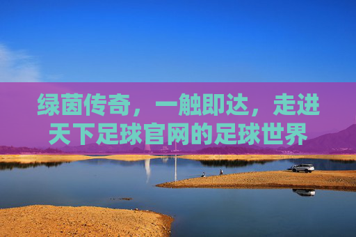 绿茵传奇,一触即达,走进天下足球官网的足球世界