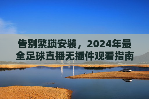 告别繁琐安装，2024年最全足球直播无插件观看指南