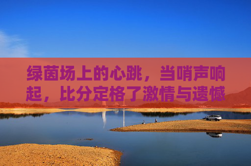 绿茵场上的心跳，当哨声响起，比分定格了激情与遗憾