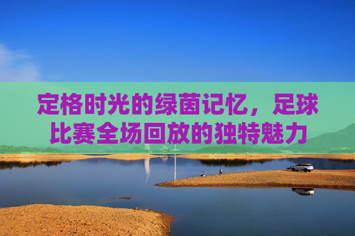 定格时光的绿茵记忆，足球比赛全场回放的独特魅力