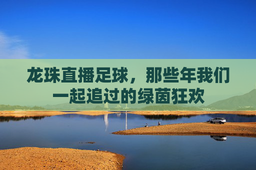 龙珠直播足球，那些年我们一起追过的绿茵狂欢