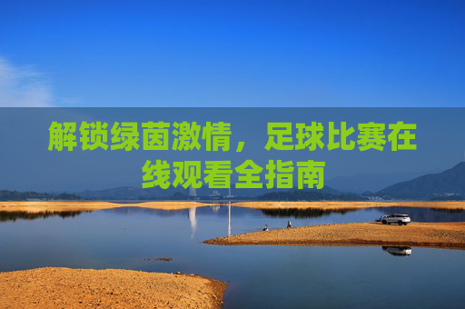 解锁绿茵激情，足球比赛在线观看全指南
