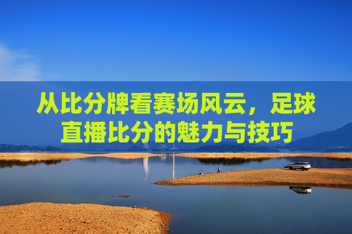 从比分牌看赛场风云，足球直播比分的魅力与技巧