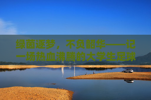 绿茵逐梦,不负韶华——记一场热血沸腾的大学生足球联赛