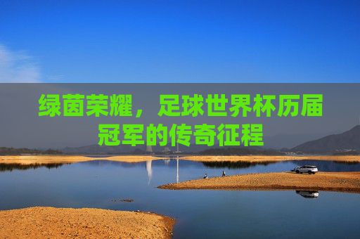 绿茵荣耀,足球世界杯历届冠军的传奇征程