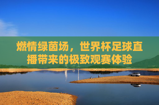 燃情绿茵场，世界杯足球直播带来的极致观赛体验