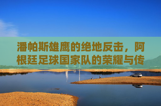 潘帕斯雄鹰的绝地反击,阿根廷足球国家队的荣耀与传奇