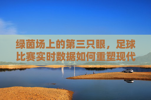 绿茵场上的第三只眼，足球比赛实时数据如何重塑现代足球