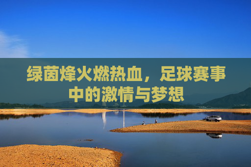 绿茵烽火燃热血,足球赛事中的激情与梦想