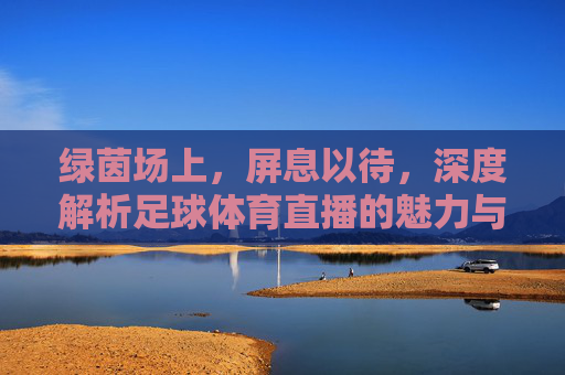 绿茵场上,屏息以待,深度解析足球体育直播的魅力与未来