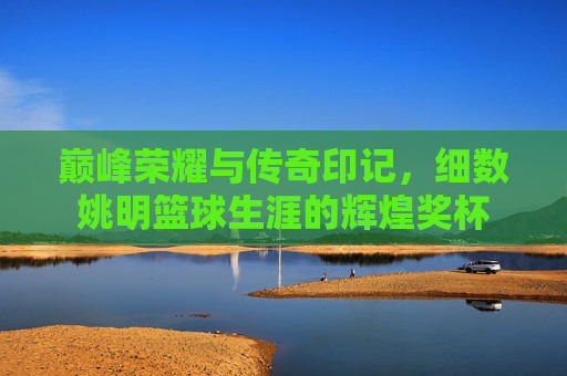 巅峰荣耀与传奇印记,细数姚明篮球生涯的辉煌奖杯