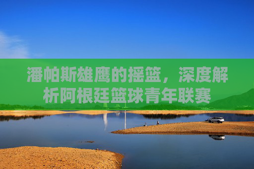 潘帕斯雄鹰的摇篮,深度解析阿根廷篮球青年联赛