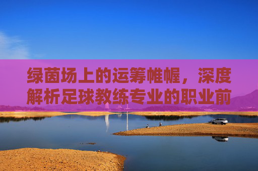 绿茵场上的运筹帷幄,深度解析足球教练专业的职业前景与核心素养