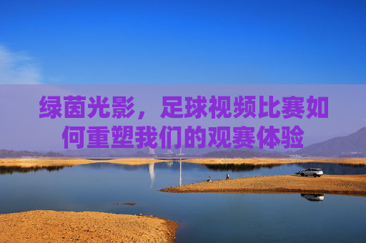 绿茵光影,足球视频比赛如何重塑我们的观赛体验