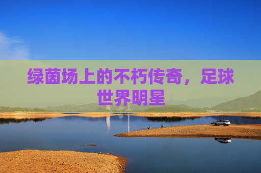 绿茵场上的不朽传奇,足球世界明星