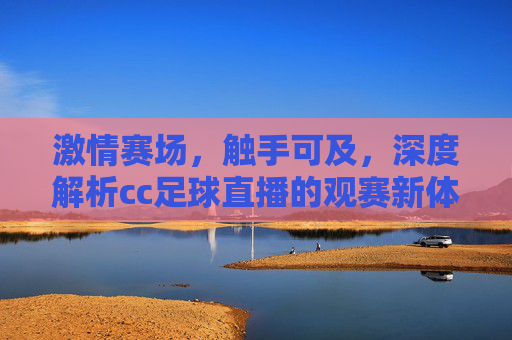 激情赛场,触手可及,深度解析cc足球直播的观赛新体验