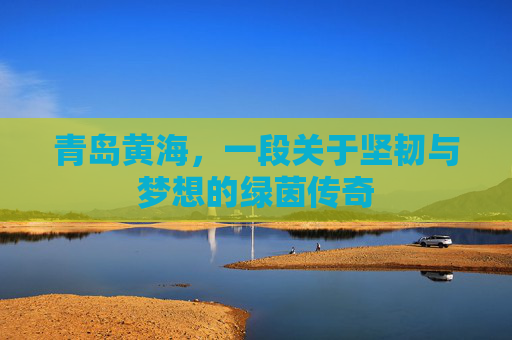青岛黄海,一段关于坚韧与梦想的绿茵传奇