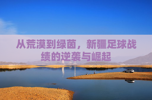 从荒漠到绿茵,新疆足球战绩的逆袭与崛起