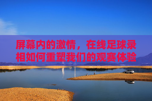 屏幕内的激情,在线足球录相如何重塑我们的观赛体验