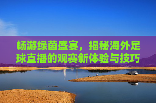 畅游绿茵盛宴,揭秘海外足球直播的观赛新体验与技巧