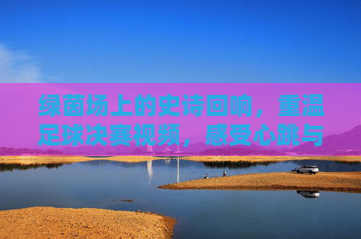 绿茵场上的史诗回响,重温足球决赛视频,感受心跳与荣耀