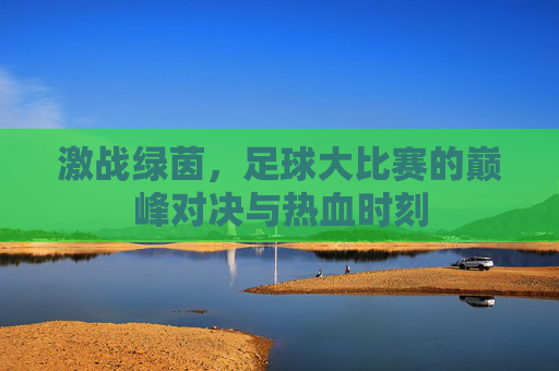 激战绿茵,足球大比赛的巅峰对决与热血时刻