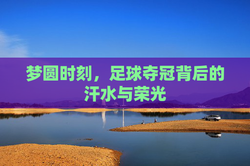 梦圆时刻,足球夺冠背后的汗水与荣光