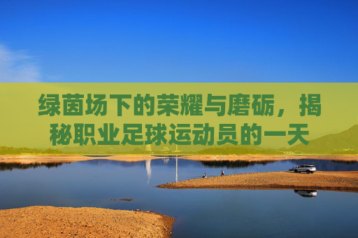 绿茵场下的荣耀与磨砺,揭秘职业足球运动员的一天