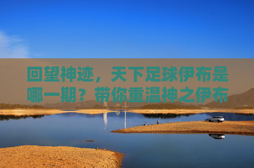 回望神迹,天下足球伊布是哪一期?带你重温神之伊布的巅峰时刻