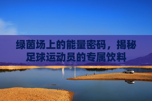 绿茵场上的能量密码，揭秘足球运动员的专属饮料