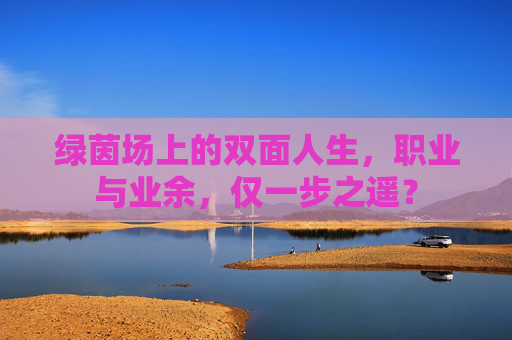 绿茵场上的双面人生,职业与业余,仅一步之遥?