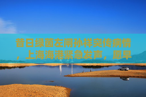 昔日绿茵左闸孙祥突传病情,上海海港紧急发声,愿早日康复