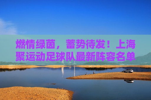 燃情绿茵,蓄势待发!上海聚运动足球队最新阵容名单重磅发布