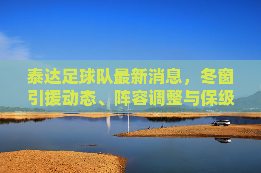 泰达足球队最新消息,冬窗引援动态、阵容调整与保级之路展望