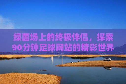 绿茵场上的终极伴侣,探索90分钟足球网站的精彩世界